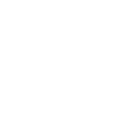 Logo Icon